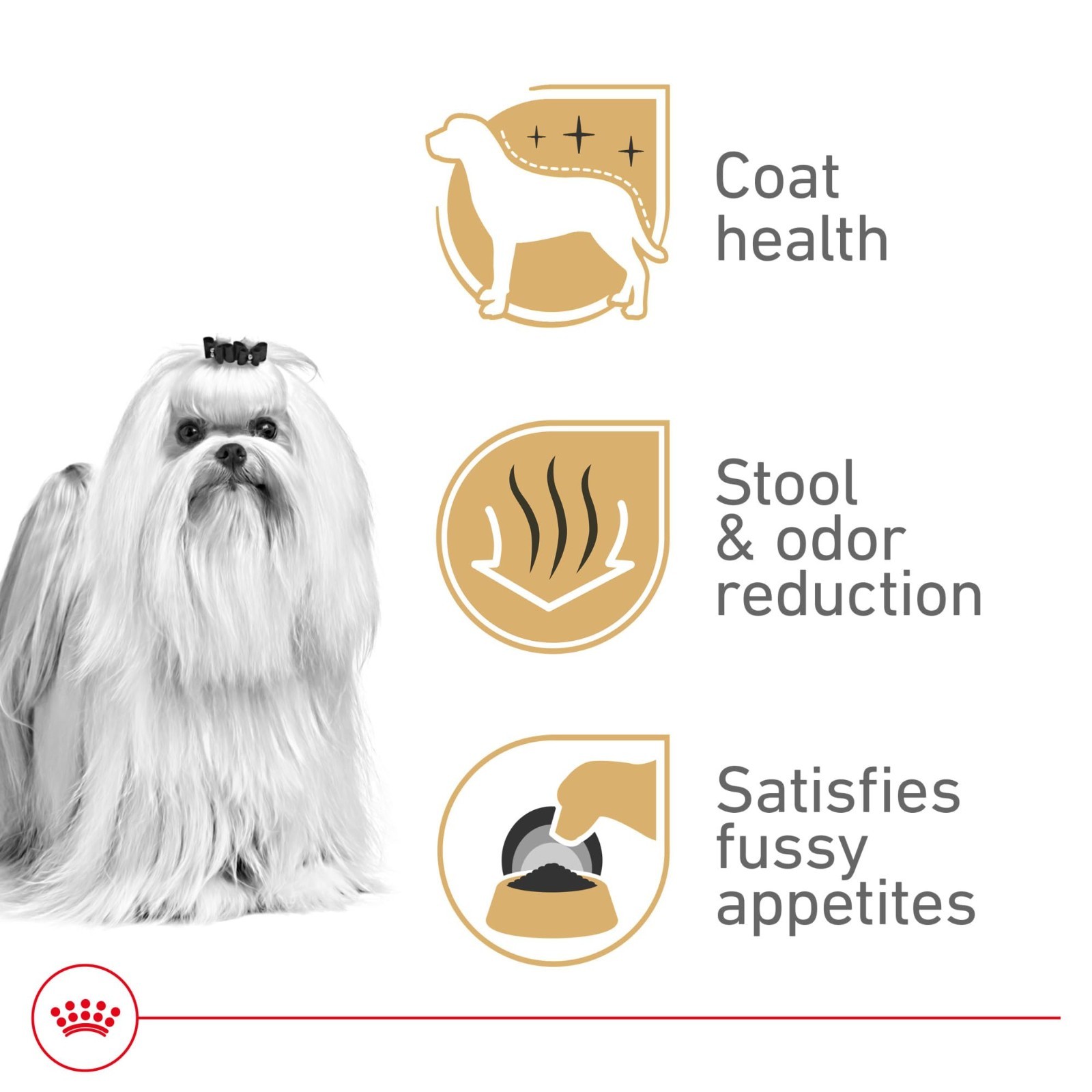 2 PACK Royal Canin Breed Health Nutrition Maltese Adult Dry Dog Food, 2.5 lb Bag
