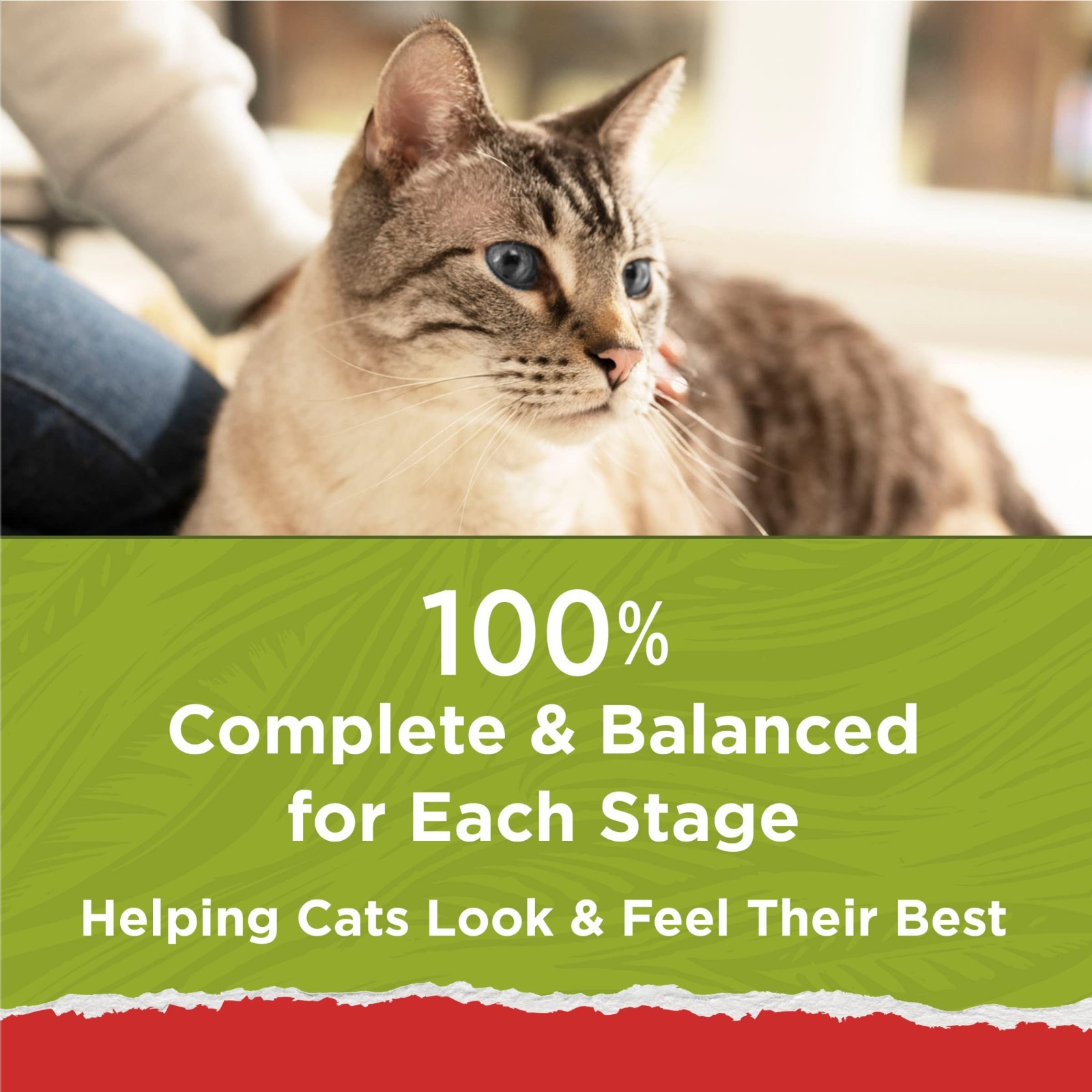 Purina Cat Chow Naturals All Life Stages Cat Dry Food, Chicken, Natural,13Lb,4PK
