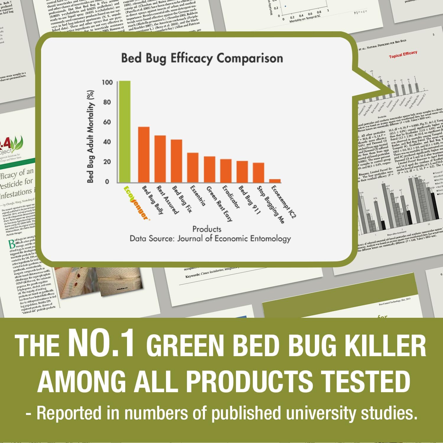 Ecoraider Bed Bug Killer Non Toxic Plant Extract Based 16 fl oz spraY Bottle