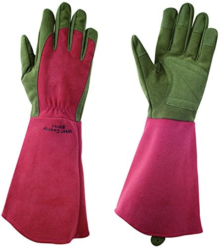 Towa Corporation WEST COUNTY ROSE West County Rose 431 Ruby Large