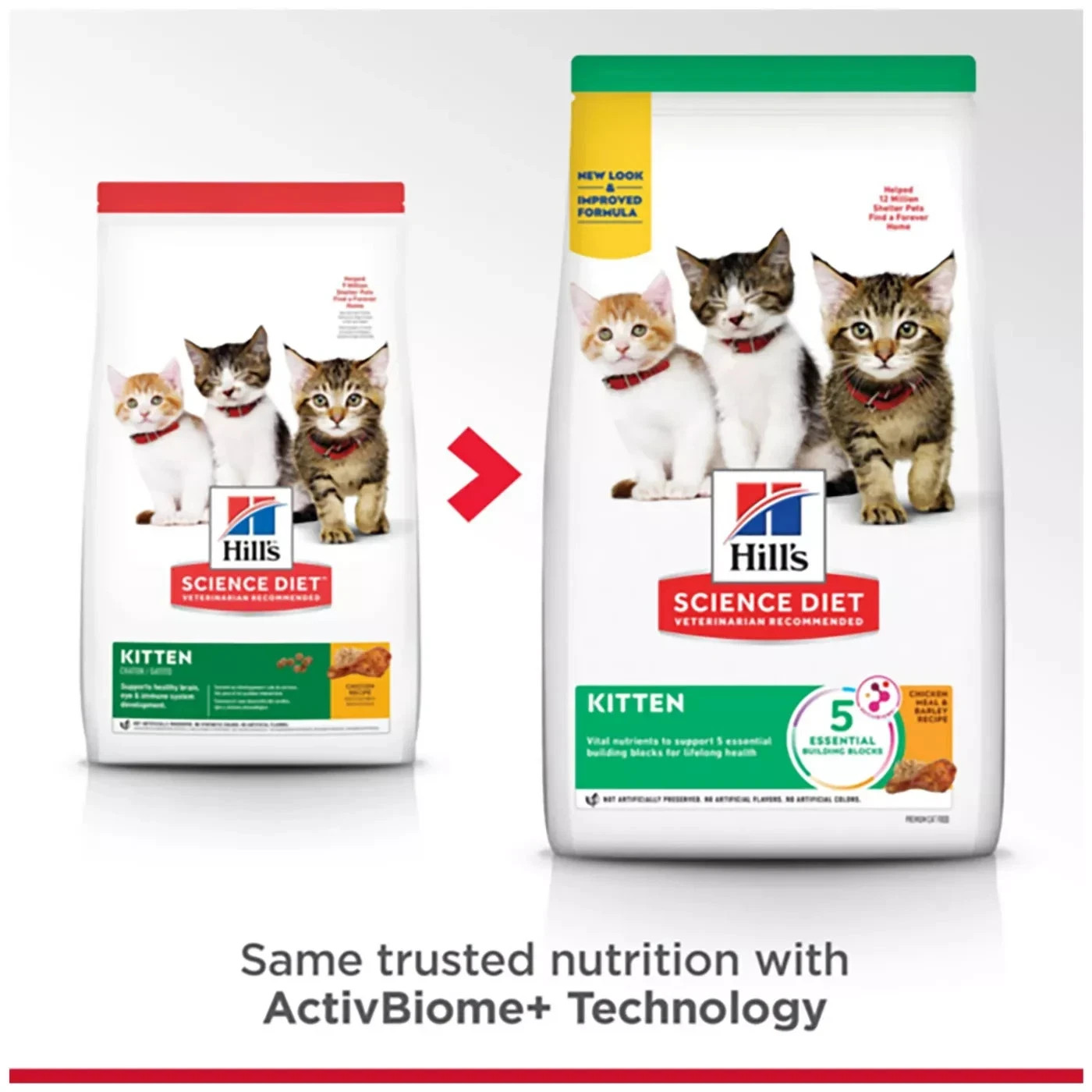 Hill’s® Science Diet® Kitten Dry Cat Food – Chicken – 15.5 Lb