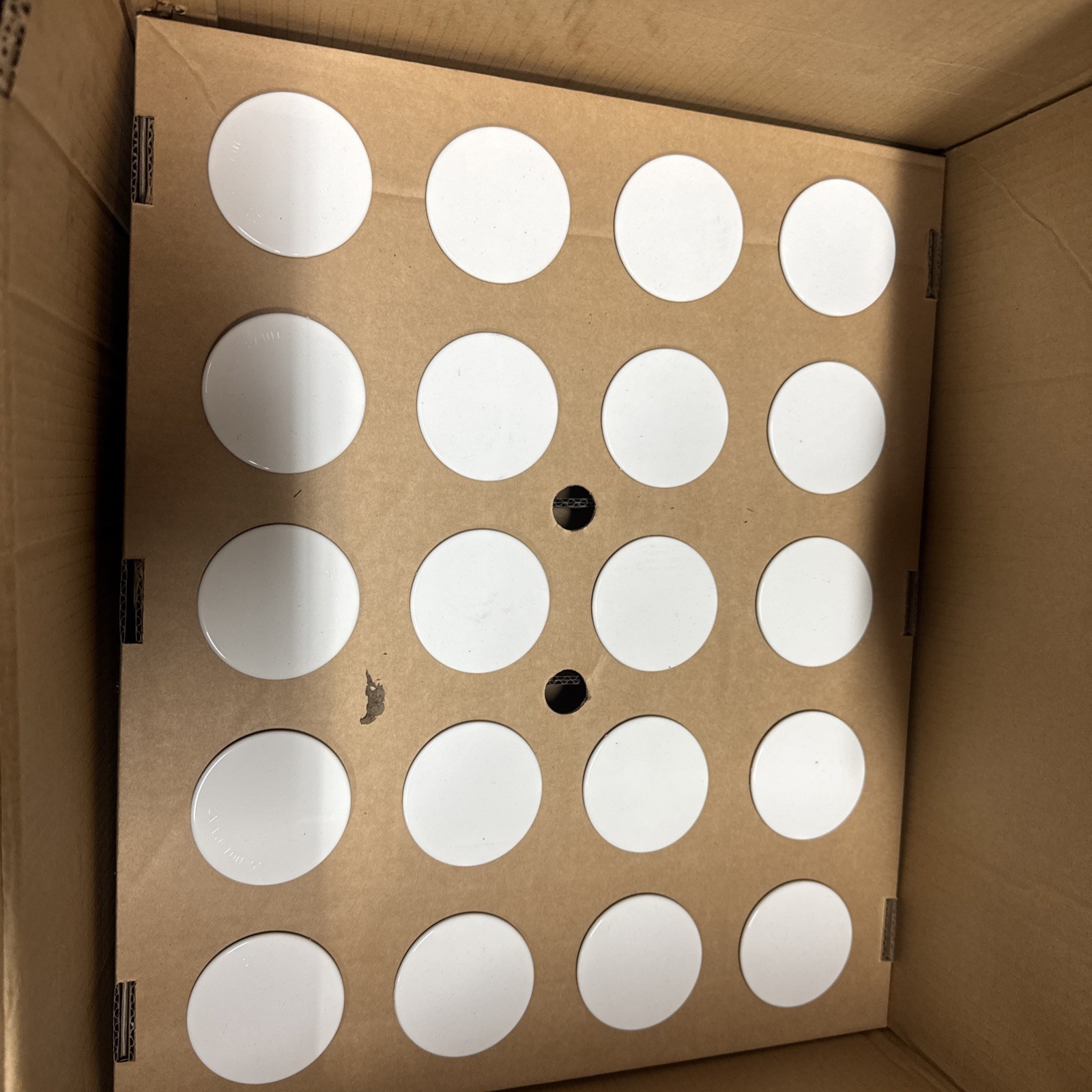 Globe Automatic Sprinkler 1″ Adjustable Cover Plate 135F 57C White 20pcs 332892