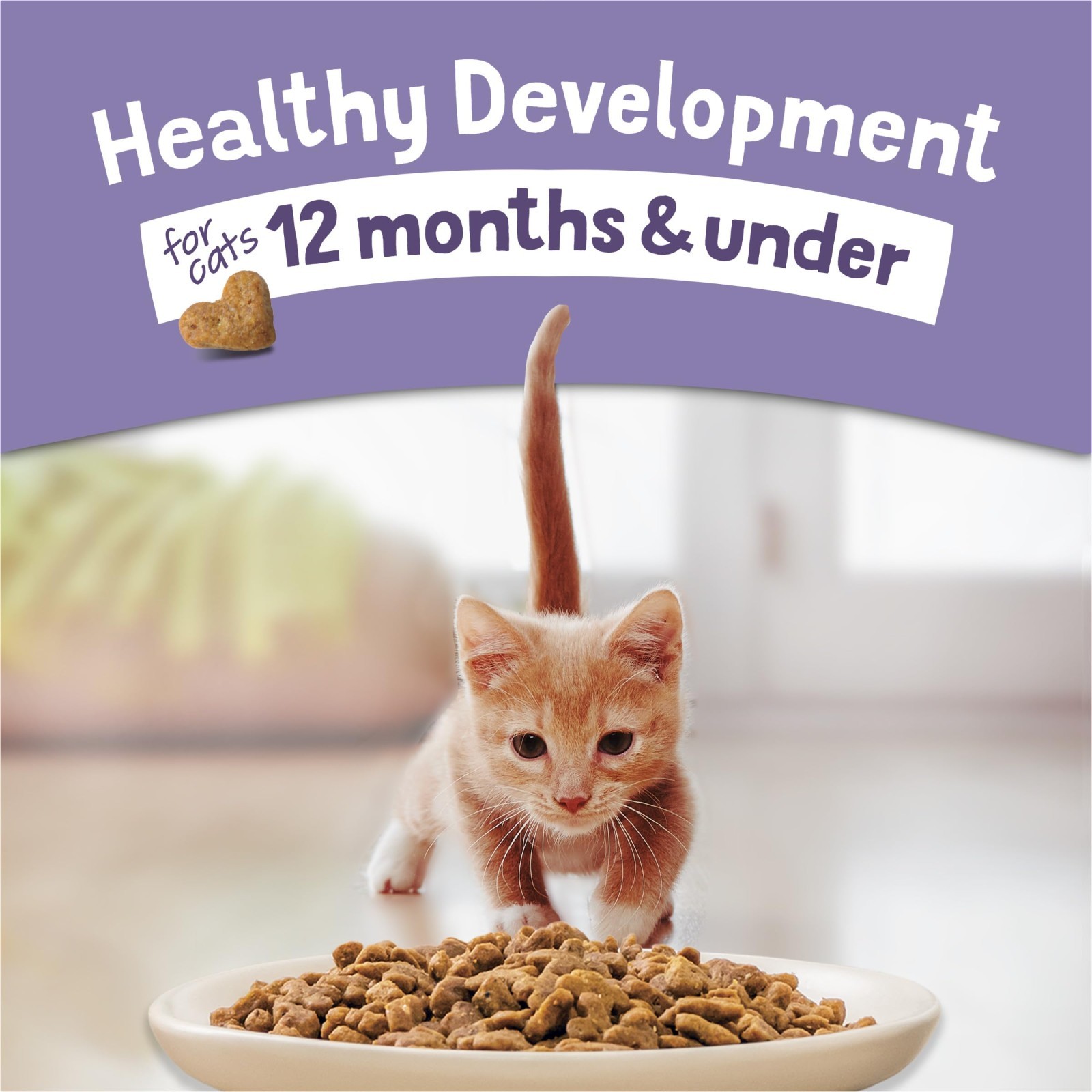 4 Pk – Purina Kitten Chow,Kitten Cat Dry Food,Chicken, Healthy Development, 14lb
