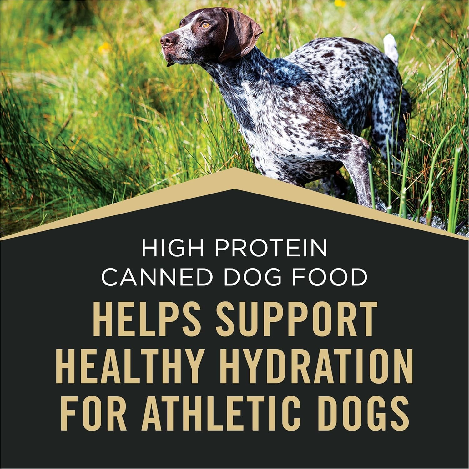 Purina Pro Plan Sport High Protein Variety Pack Adult Wet Dog Food -13 Oz, 12 Ct