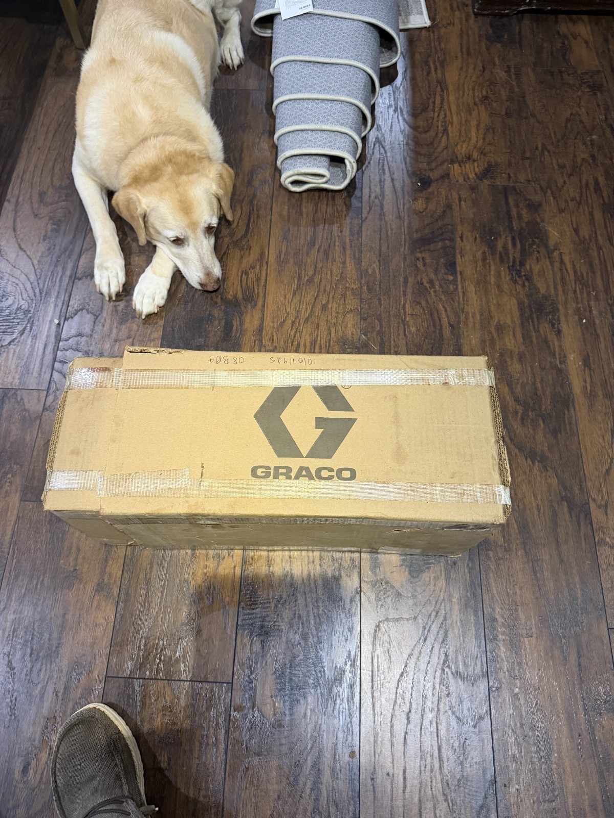 Graco Fire-Ball 300 Air-Powered Drum Pump P/N 203876 NEW in Box A20R USA