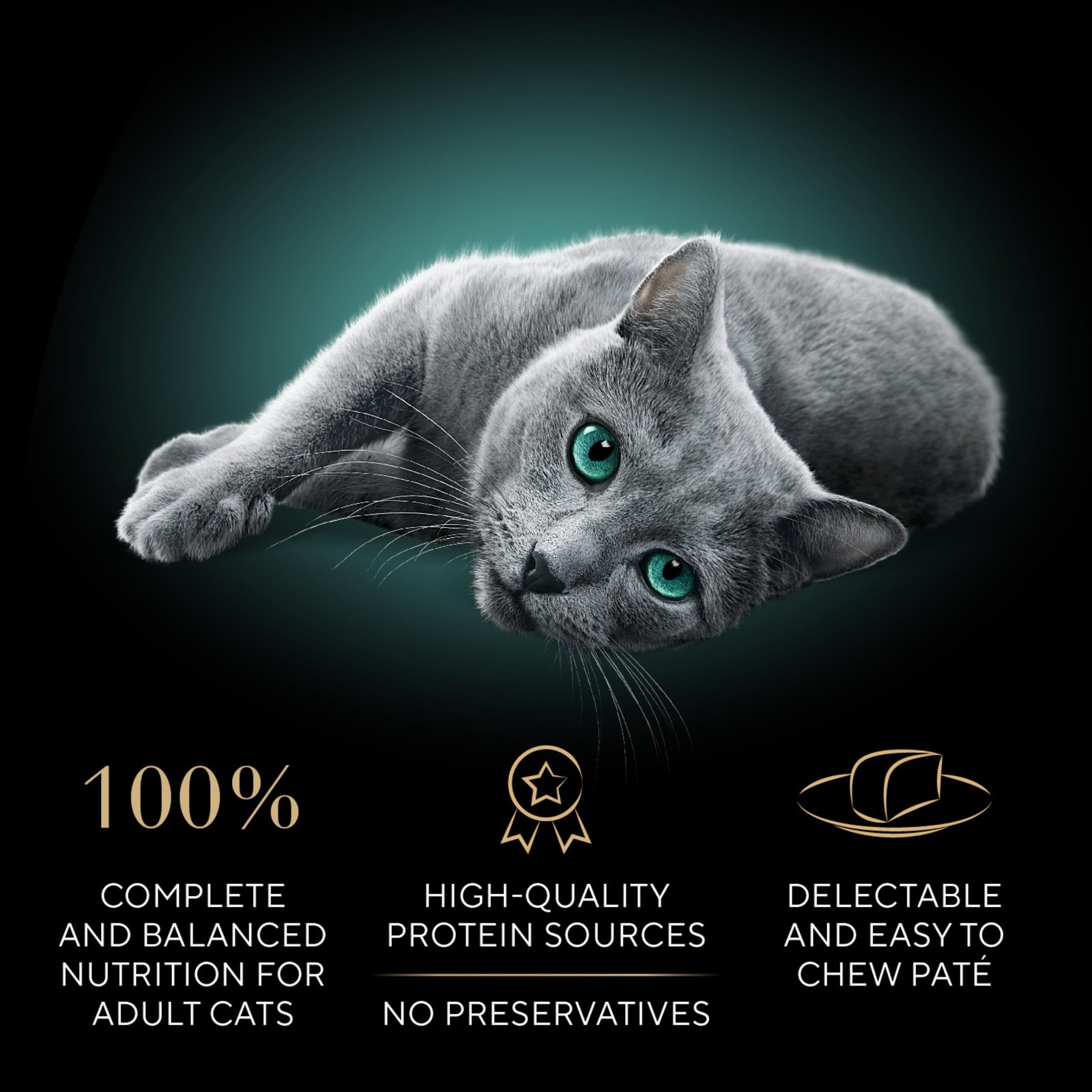 2 PACK SHEBA Perfect Portions Paté Wet Cat Food Trays (24 Count, 48 Servings)