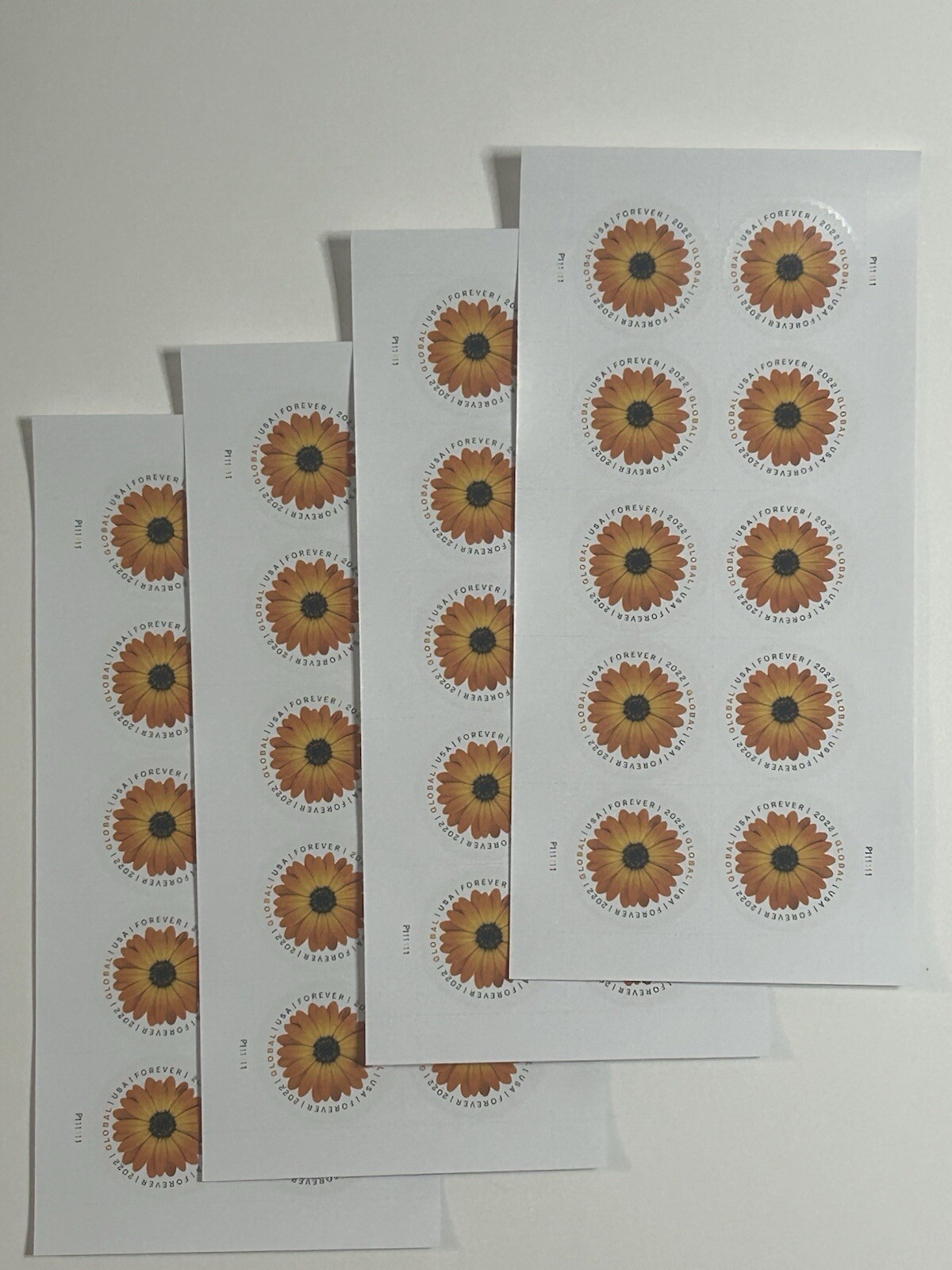 1 Sheet African Daisy Global Postage