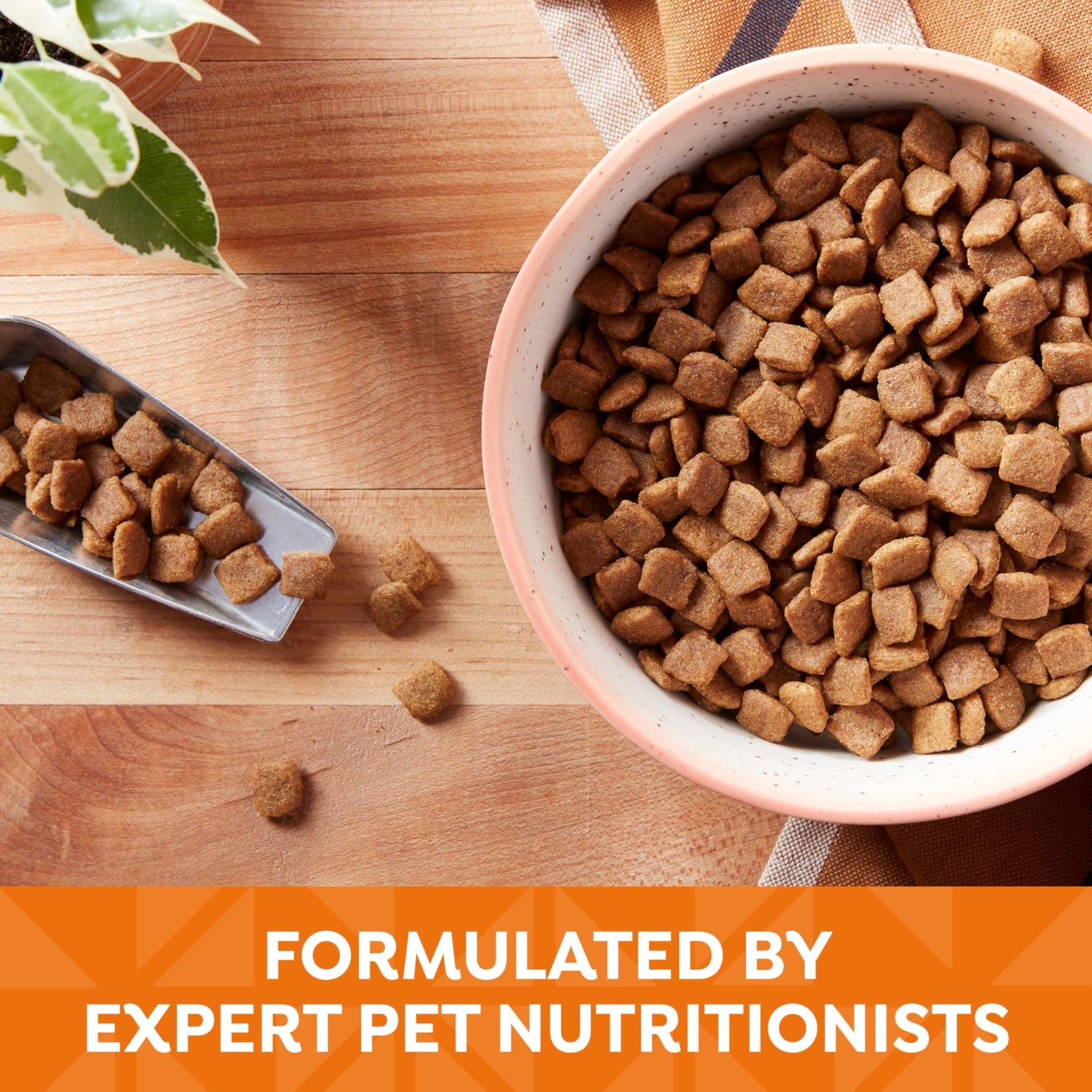 Nature’s Recipe Grain Free Chicken, Sweet Potato & Pumpkin Recipe Dry Dog, 48lb