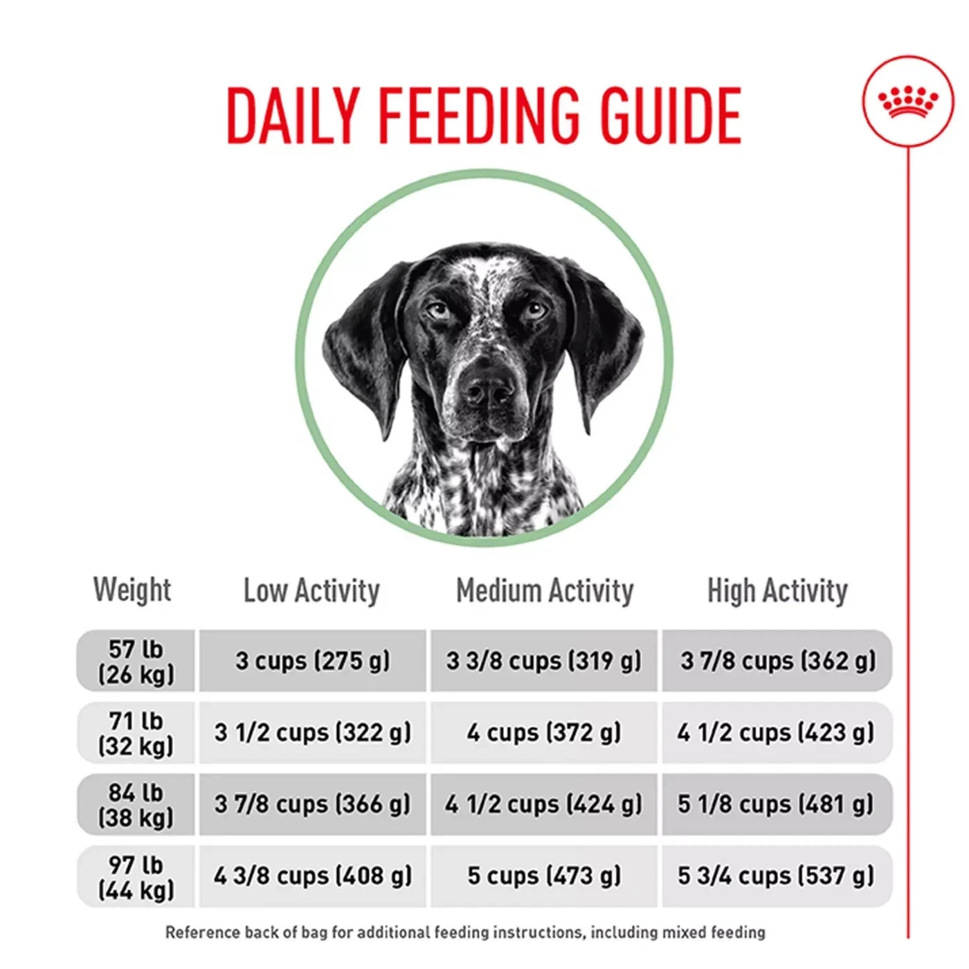 Royal Canin Canine Adult Dry Food – Large Breed Digestive Care Nutrition, 30 lb