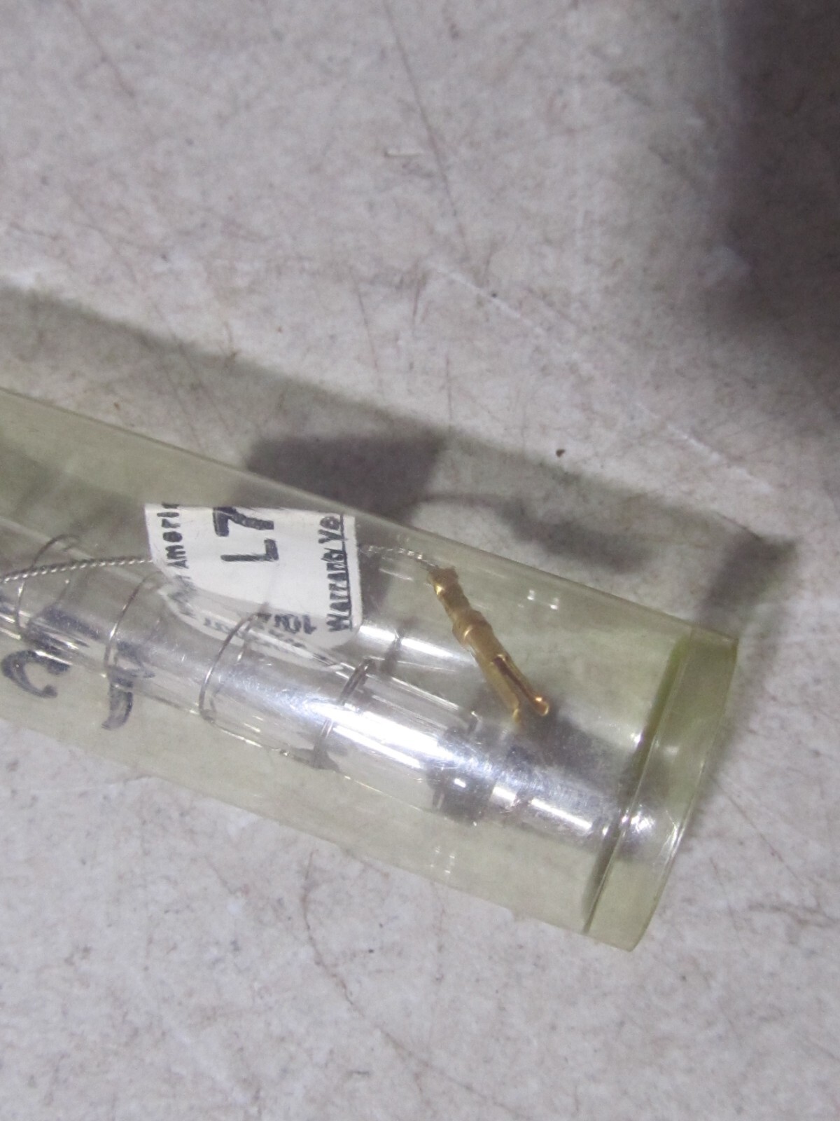 NEW North American Signal – L7-77 BULB