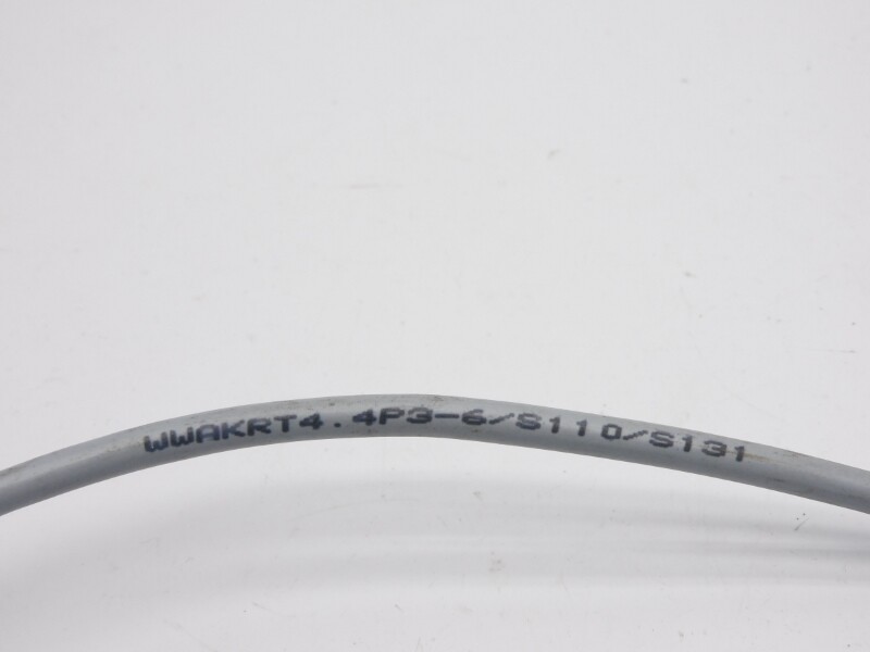 ESCHA WWAKRT4.4P3-6/S110/S131 NSNP