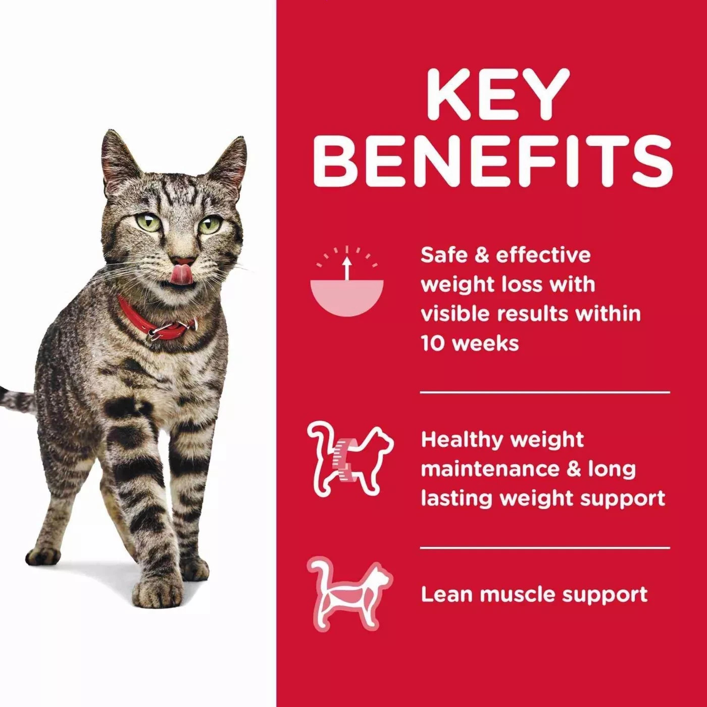 Hill’s Science Diet Perfect Weight Adult Dry Cat Food – Chicken, 15 lb Bag