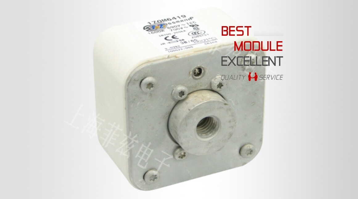 1PCS BUSSMANN 170M6419 power supply module NEW 100% Quality Assurance