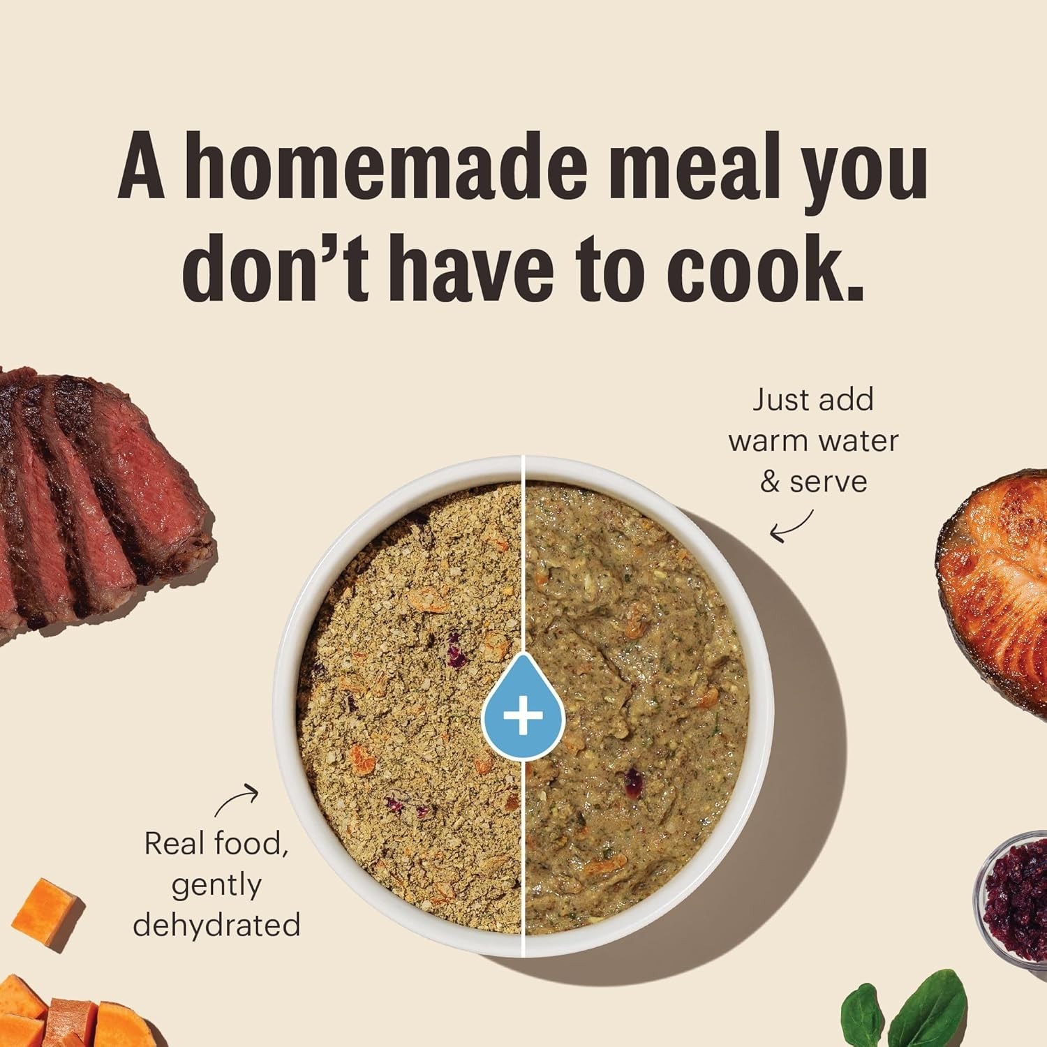 The Honest Kitchen Human Grade Wholemade Dehydrated Whole Grain Dog Food 10 lb