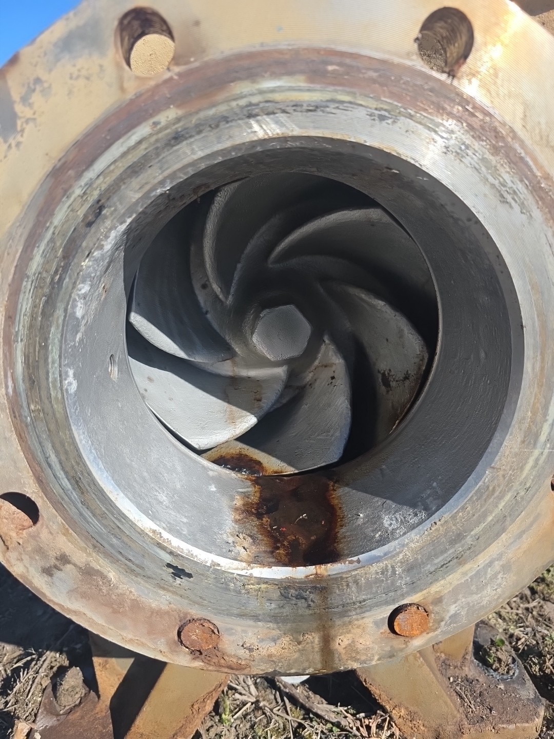 6X8-13 Goulds 3196XLT IFrame Pump 316SS