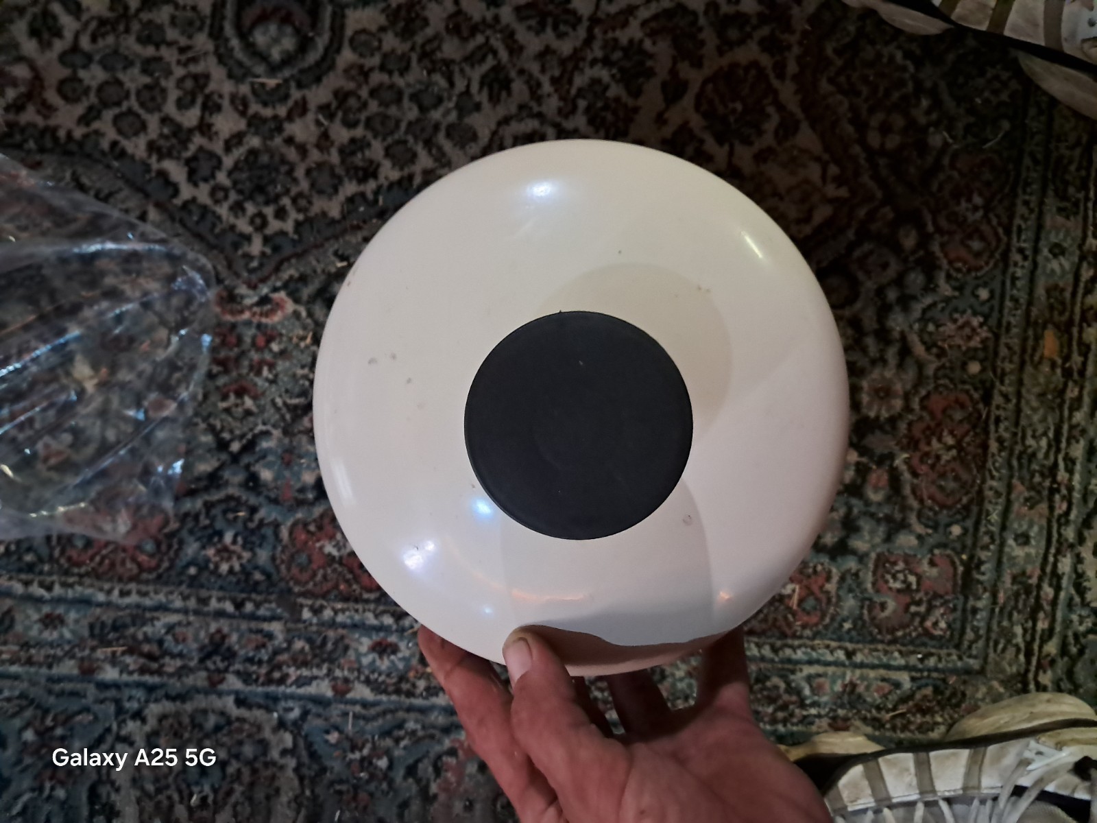 Watts 2.1 Gal. Potable Water Heater Storage Tank 3/4 In Male Tank