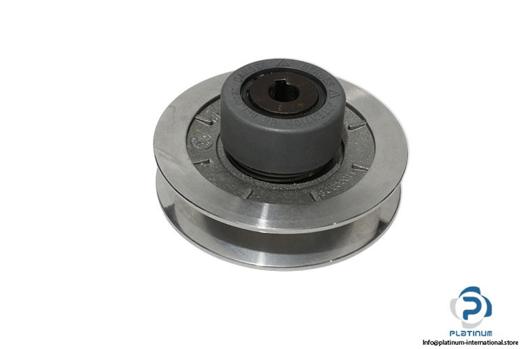 BERGES 11000308 VARIABLE SPEED PULLEY_24 mm_120 mm