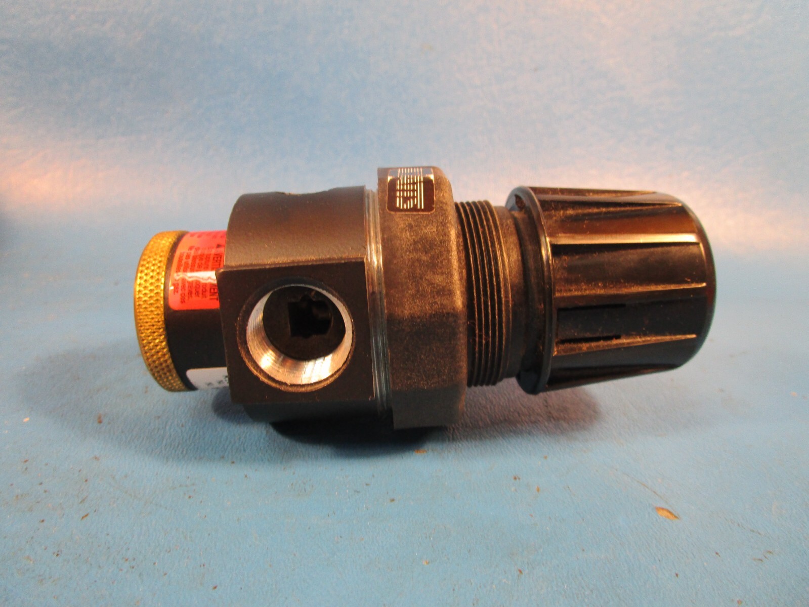 Watts R10-04A/M3 Pressure Regulator, 21 Bar/300 PSI Max, 1/2 NPT