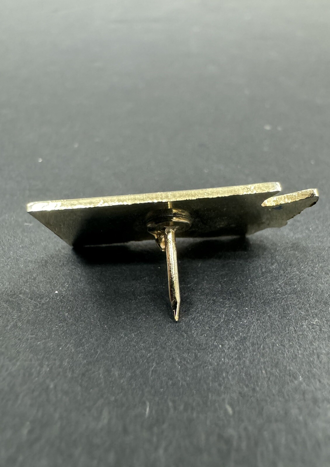 Vintage Pin Washington State Empire Builder IECEA White & Blue