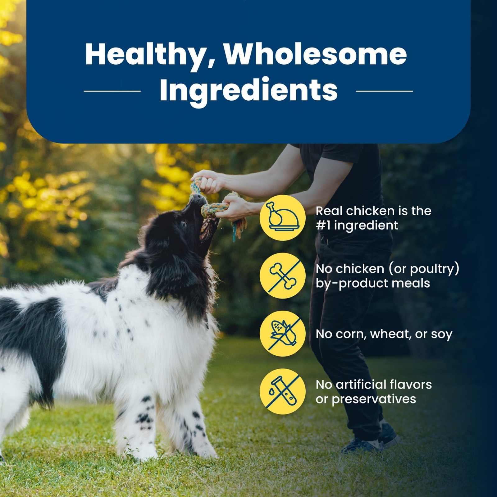 Blue Buffalo Life Protection Formula Adult Healthy Weight Dry Dog Food 30 lbs