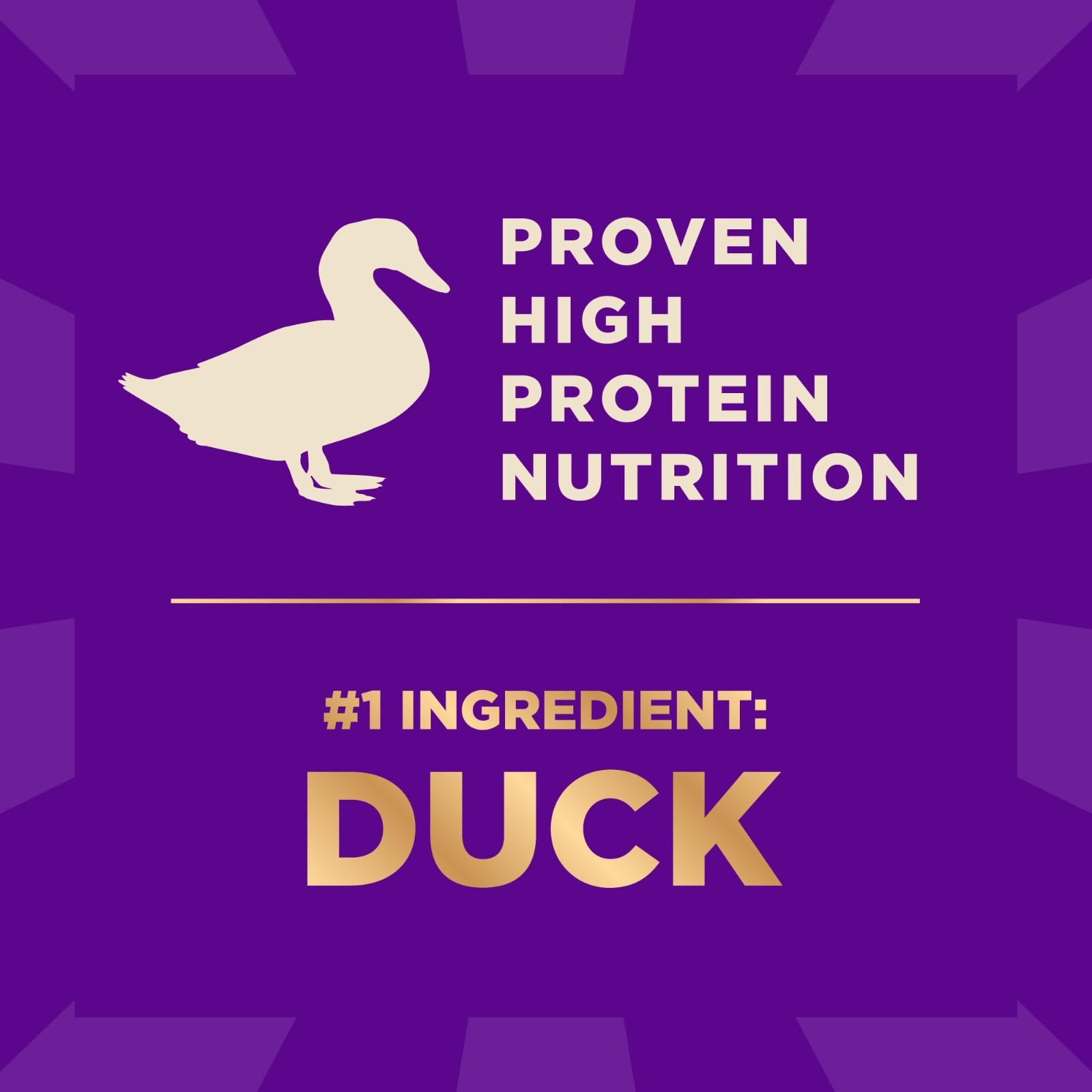 Wellness CORE+ Natural Grain Free Dry Dog Food, Wild Game Duck, 18 lb