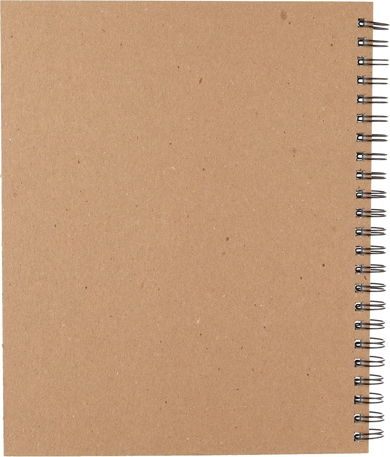 Artist Series Mixed Media Paper, Wirebound Pad, 9×12 inches, 30 Sheets (138lb…