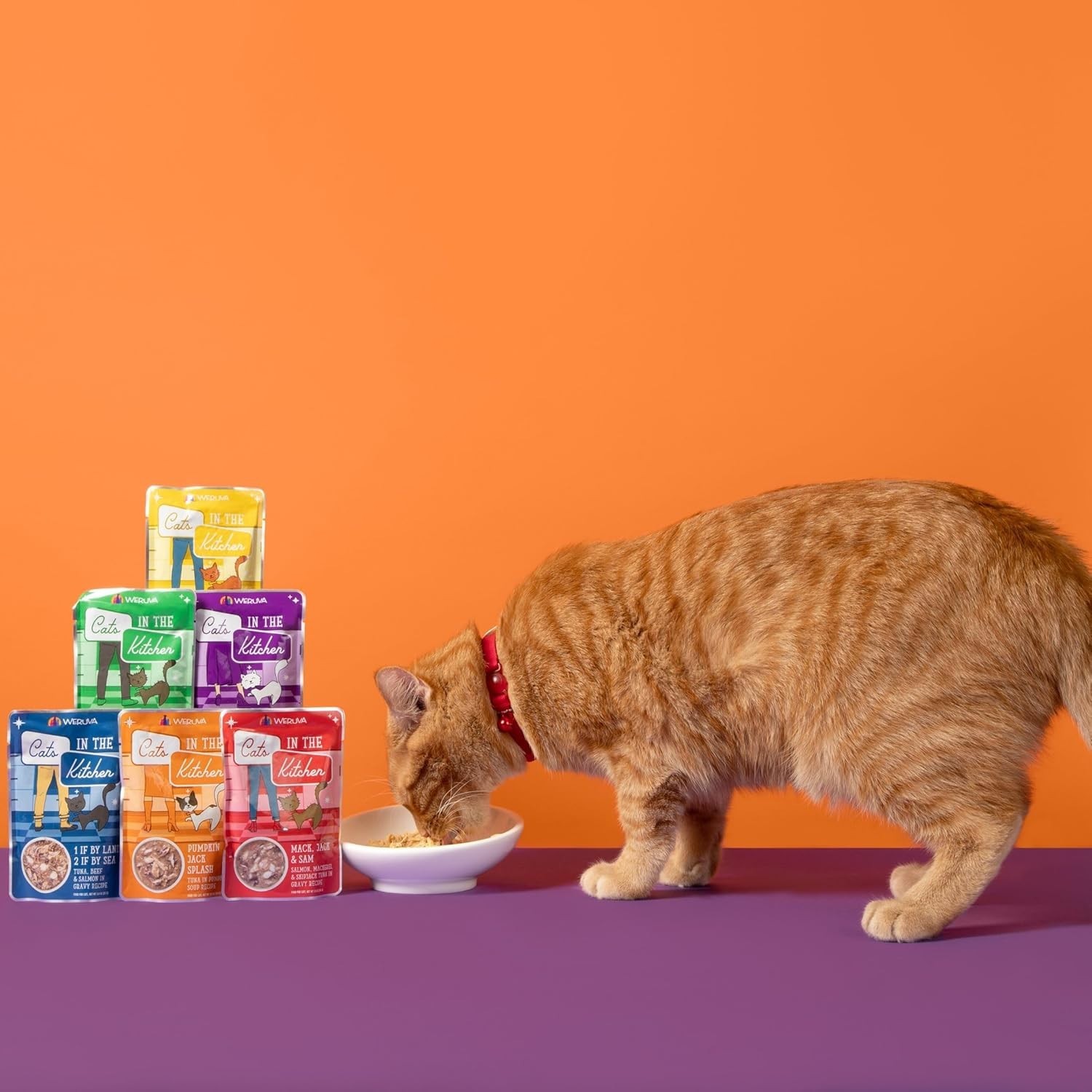 Weruva Cats in the Kitchen Pantry Party! Wet Cat Food – Variety Pack, 36 ct