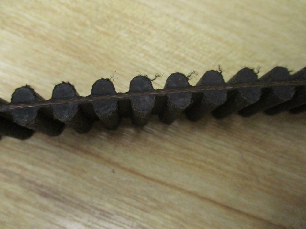 Contitech DHTD 2000-8M Timing Belt D2000-8M-20