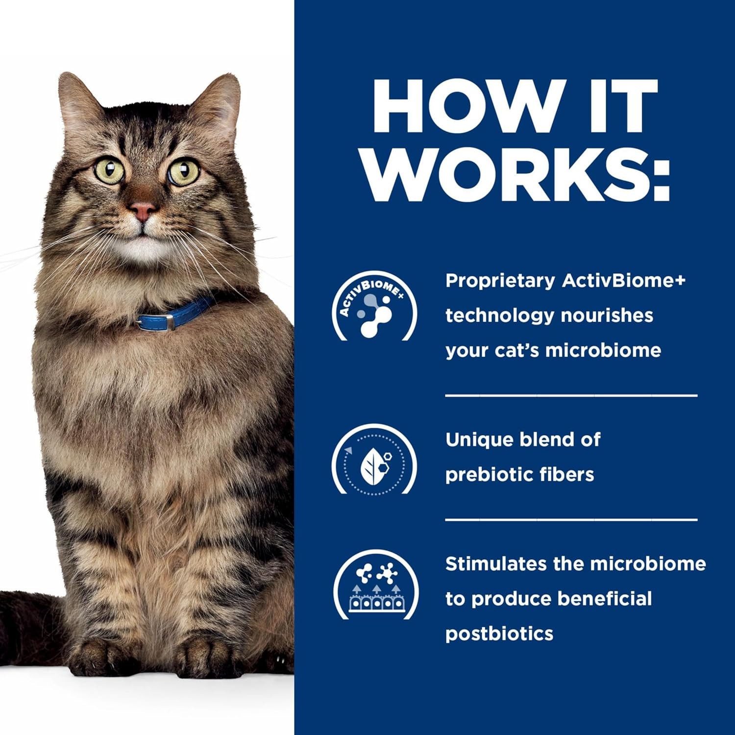 Gastrointestinal Biome Stress Digestive/Fiber Care Wet Cat Food, Chicken & Veget
