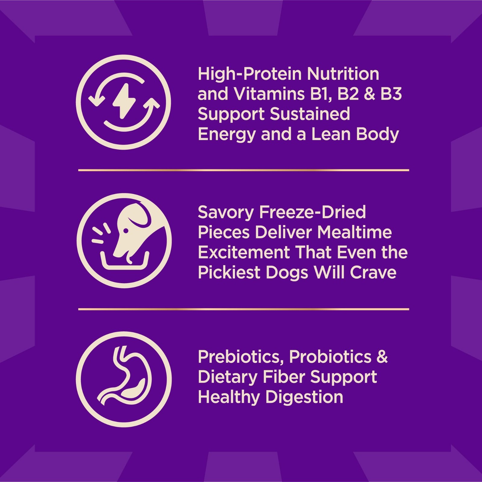Wellness CORE+ Natural Grain Free Dry Dog Food, Wild Game Duck, 18 lb