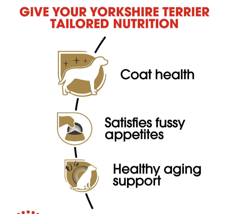 Royal Canin Breed Health Nutrition Yorkshire Terrier Adult Dry Dog Food, 10 lbs.