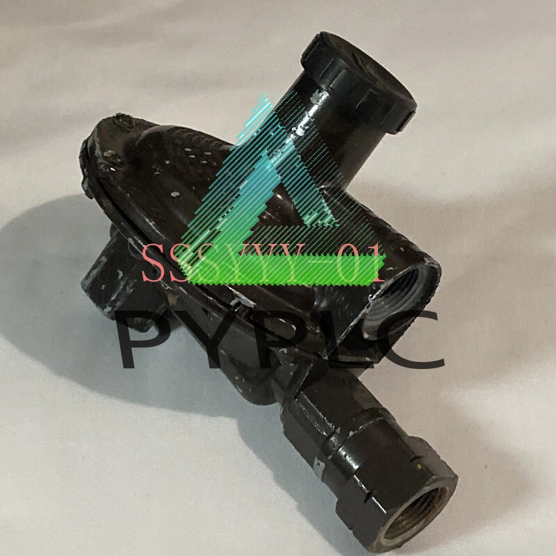 1PCS New in Box REGO LV4403B66 LP-Gas Regulator 450L Compressed Gas Regulator