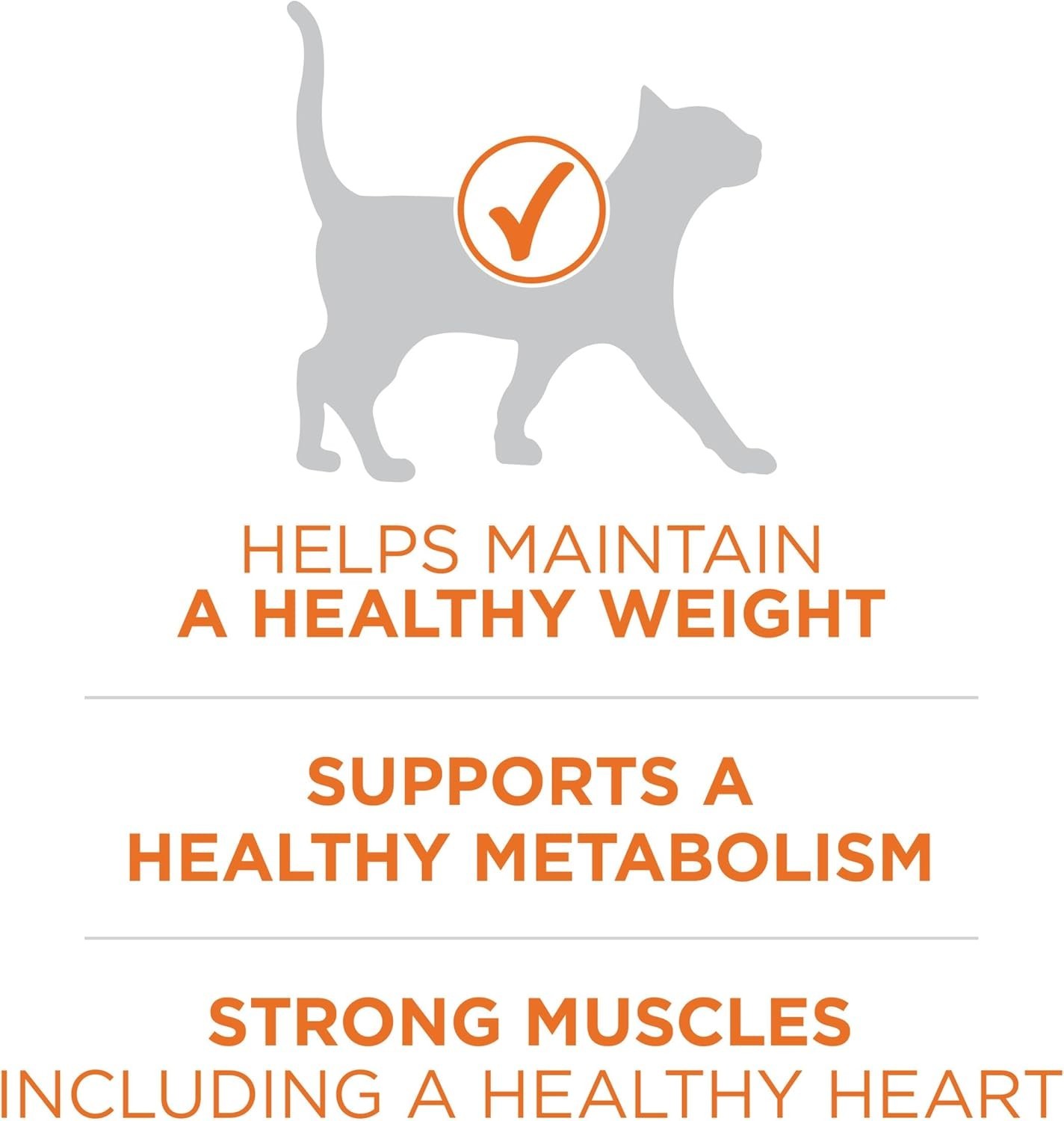 2PK Purina ONE +Plus Ideal Weight Adult Cat Dry Food – Turkey, High-Protein,16lb