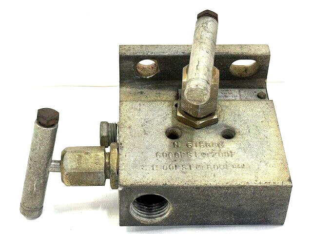 PGI 2 VALVE MANIFOLD M-618CCG 6000 PSI @ 200°F