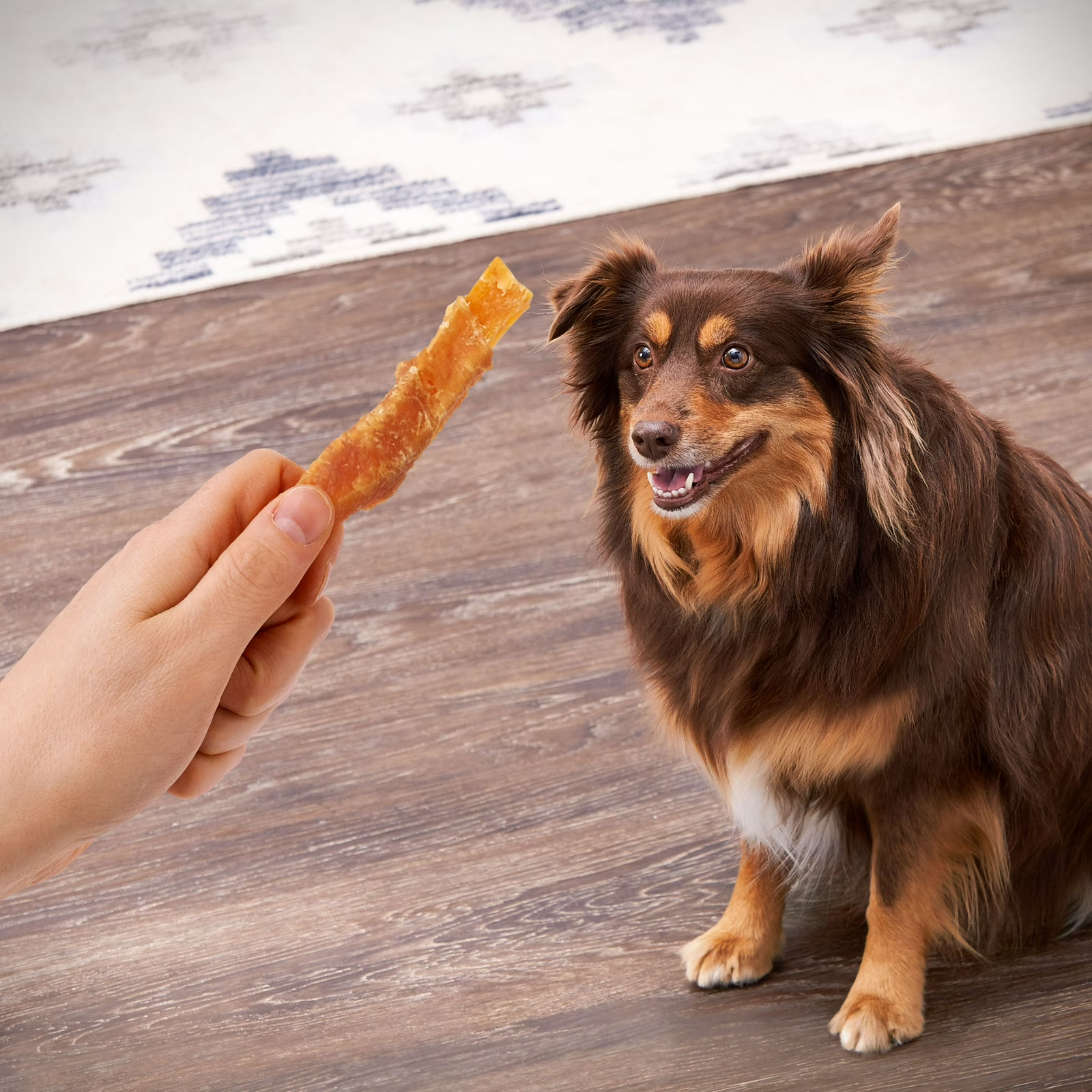 1 Pack Golden Rewards Sweet Potato Wrapped with Chicken Dog Treats, 64 oz