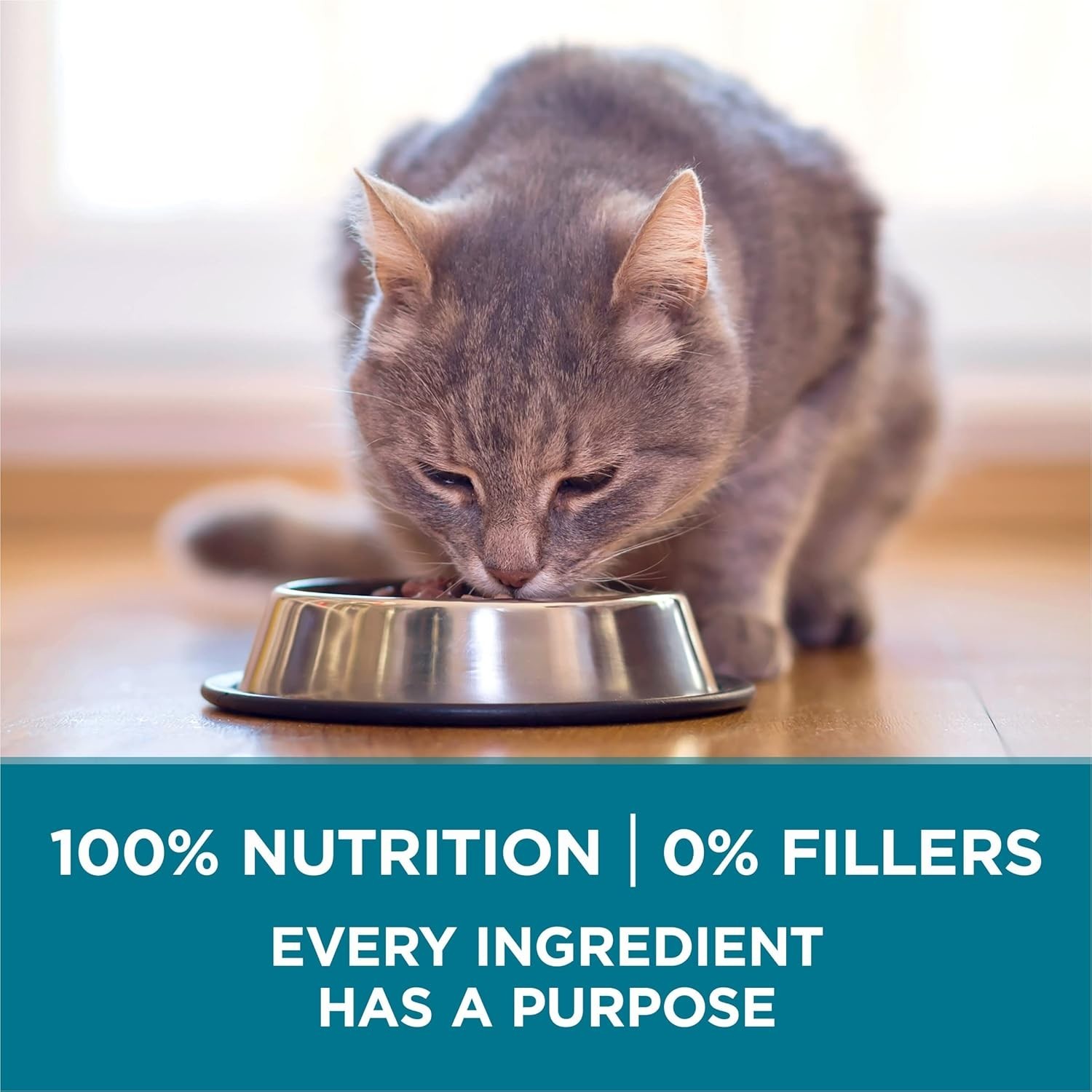 Purina ONE Tender Selects Natural Dry Cat Food – Salmon, 22 Lb