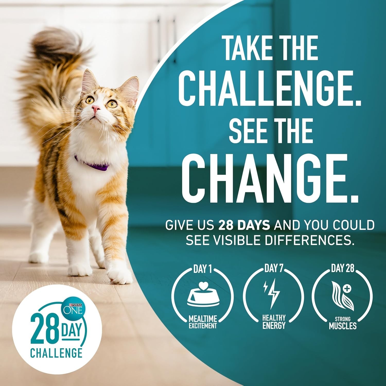 2PK Purina ONE +Plus Ideal Weight Adult Cat Dry Food – Turkey, High-Protein,16lb