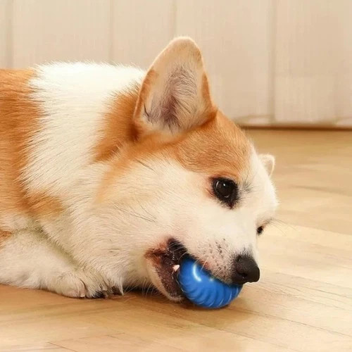USB Rechargeable Interactive Dog Toy Ball | Automatic Moving Bouncing Pet Toy