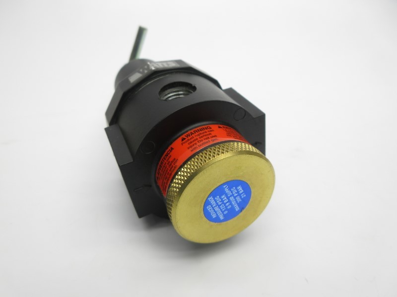 WATTS R11-03C/M3 300PSI 3/8″ NSMP