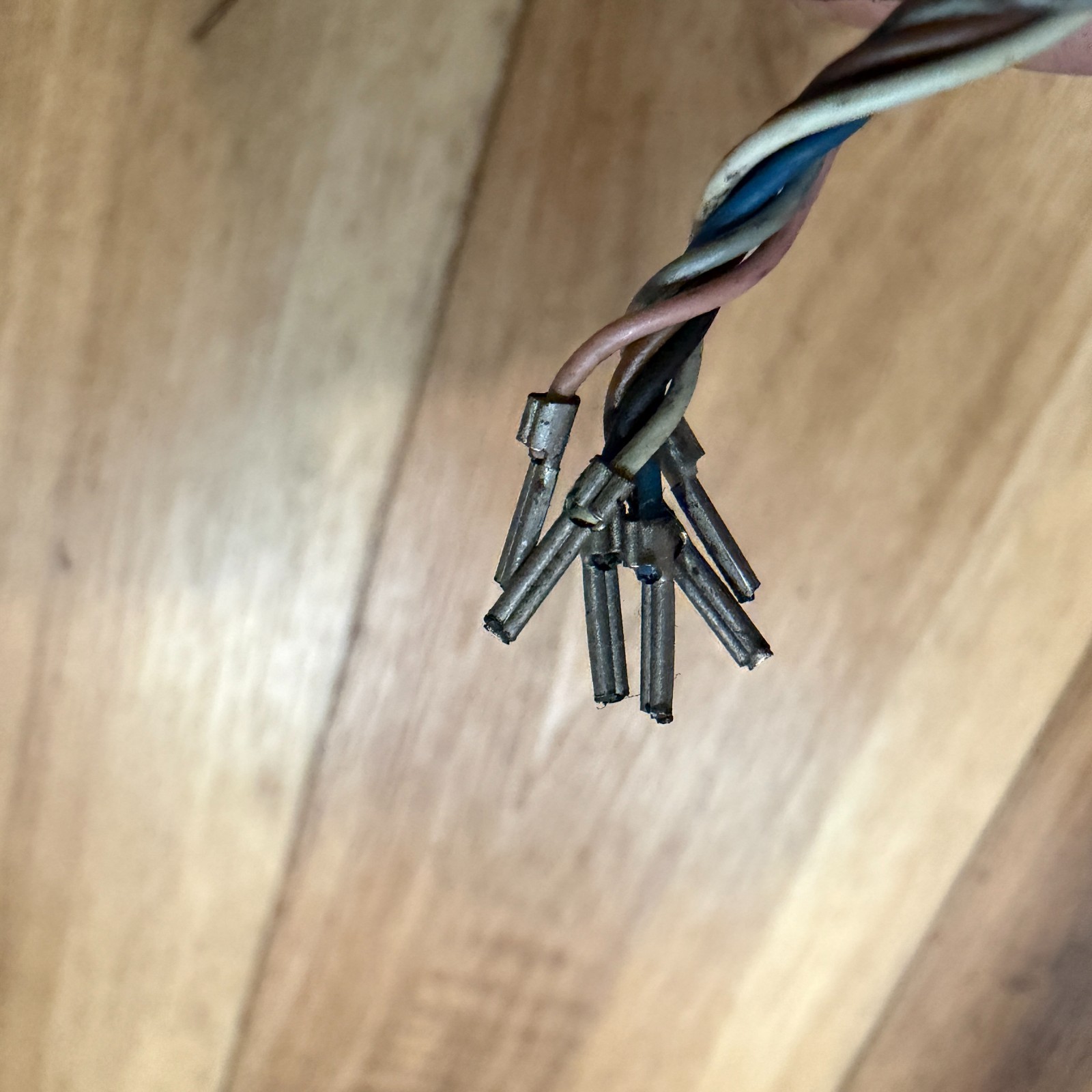 LIYY-0B 8053499/53224 CORDSET 6X0.14 6-PINS FEMALE ESCHA