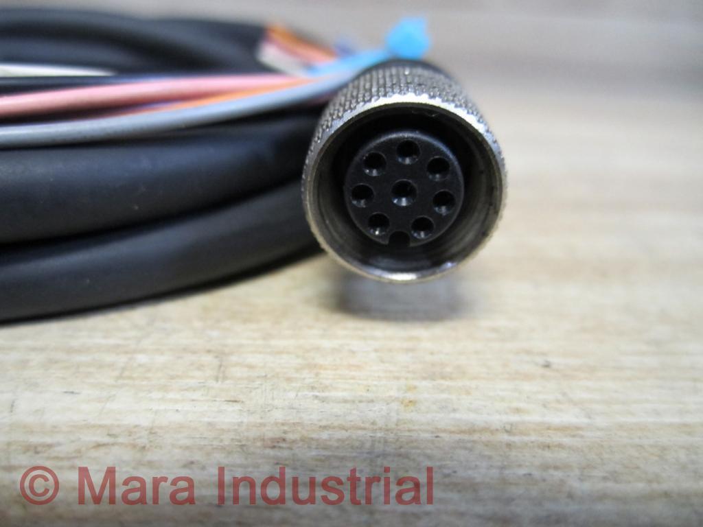 ifm Electronic E11807 Cable (Pack of 2)