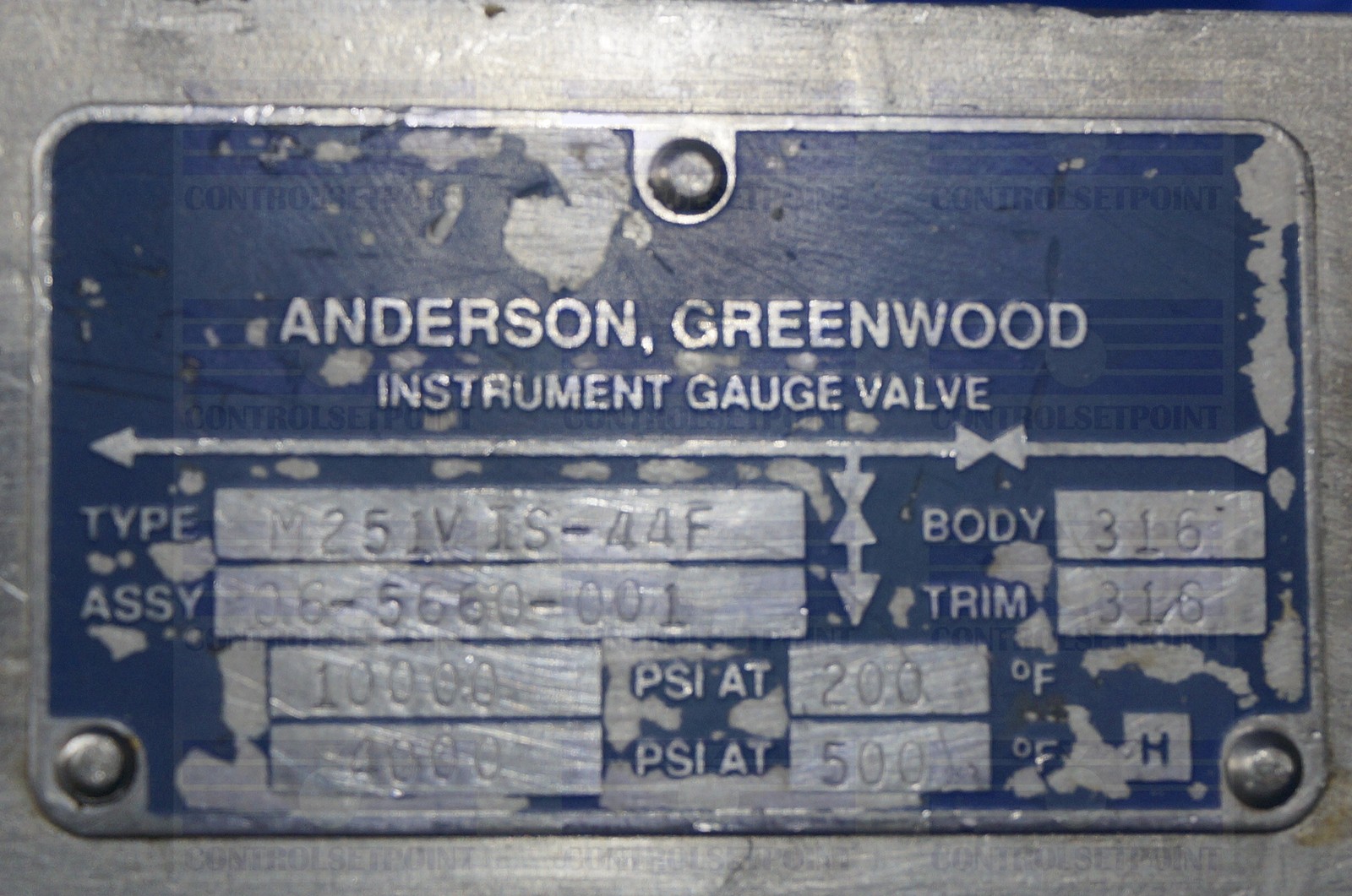 ANDERSON GREENWOOD MANIFOLD M251VIS-44F 2 VALVE MANIFOLD NSP