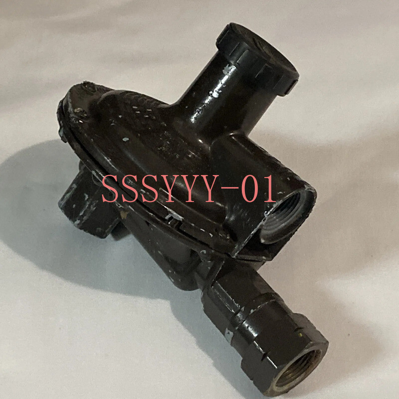 1PCS New REGO LV4403B66 LP-Gas Regulator 450L Compressed Gas Regulator