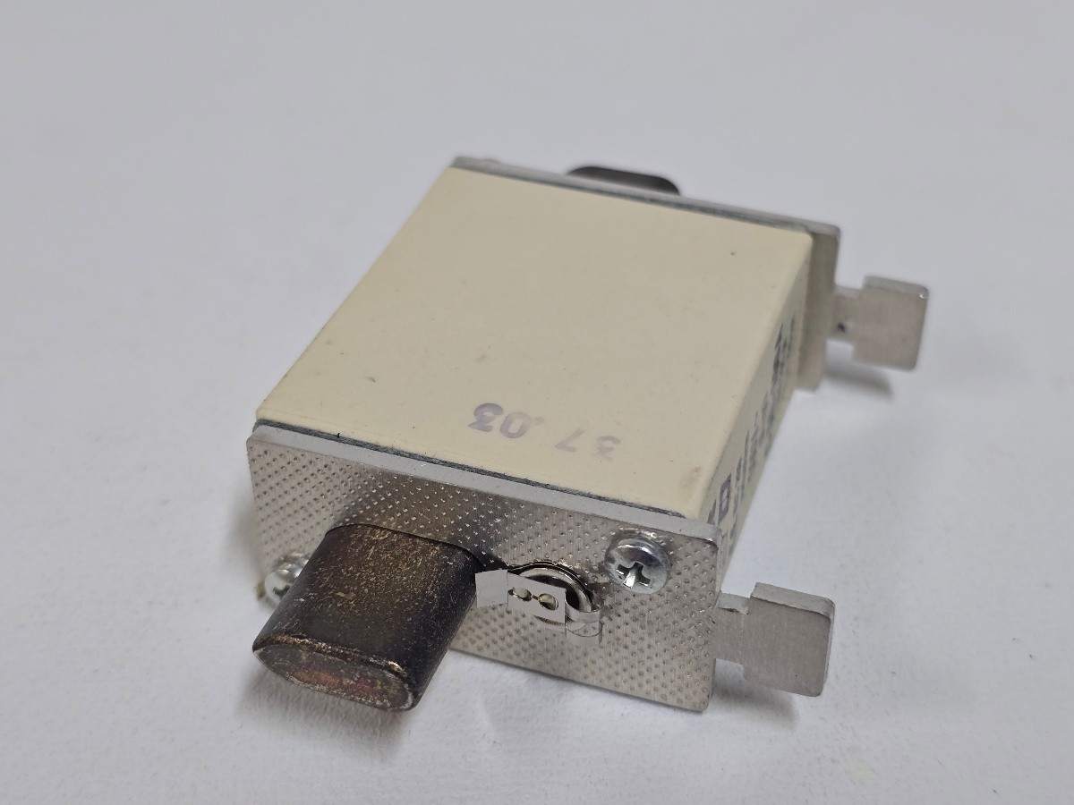 Ernst C00-100A NH00C 100A 500V Ceramic Cartridge Fuse Links