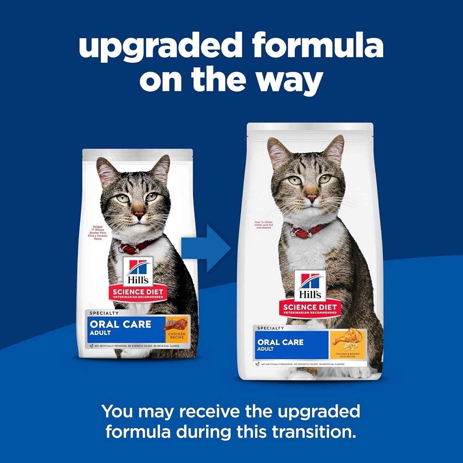 2 Bags – Hill’s Science Diet Adult Oral Care Dry Cat Food, Chicken, 7 lb. Bag