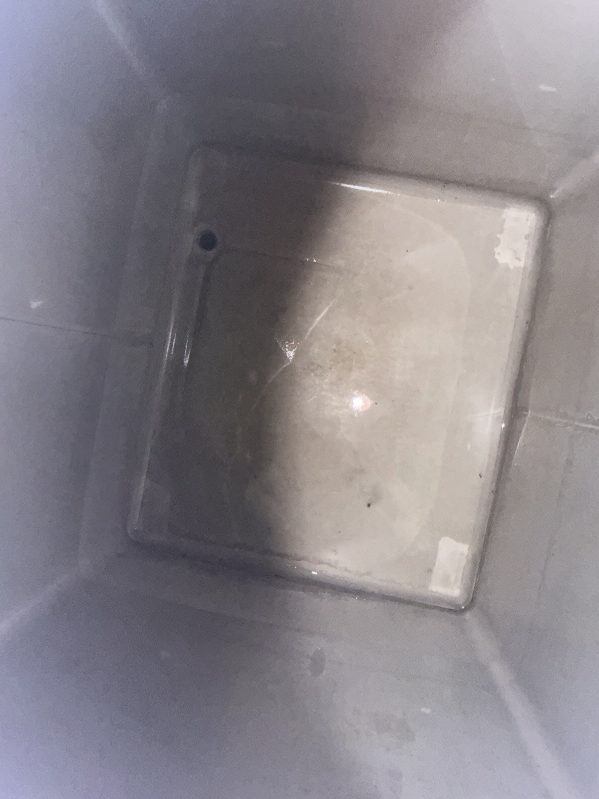 TransStore (clean) ECOsafe Stainless Steel IBC Tote Tank, 2 inch discharge