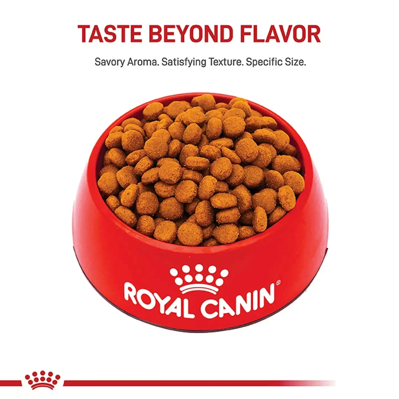 Royal Canin Canine Adult Dry Food – Large Breed Digestive Care Nutrition, 30 lb
