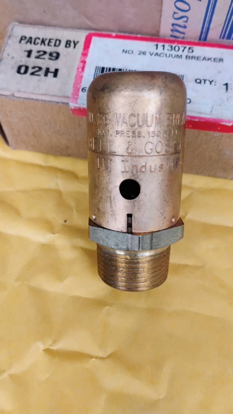 Bell & Gossett 113075 Vacuum Breaker, 3/4 in, MNPT, 240 psig, 300 deg F