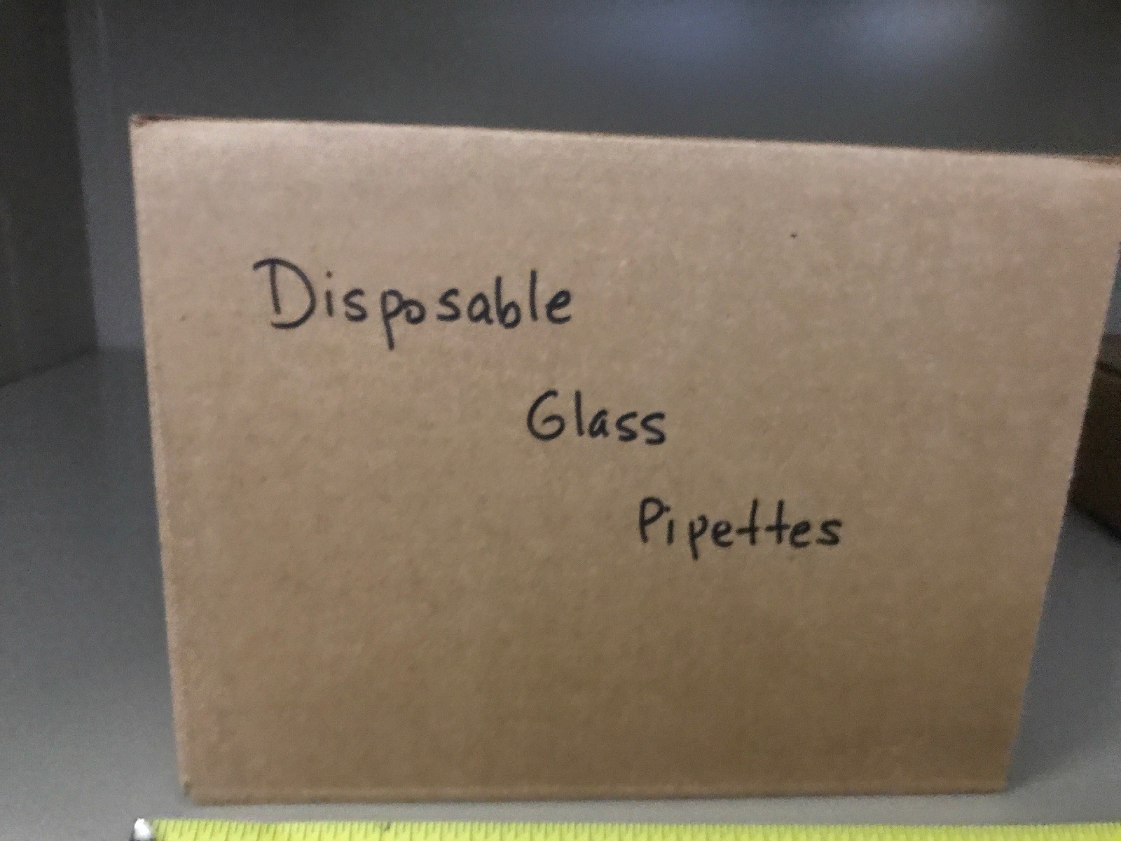 Corning PYREX Disposable Glass Pipettes 15253677