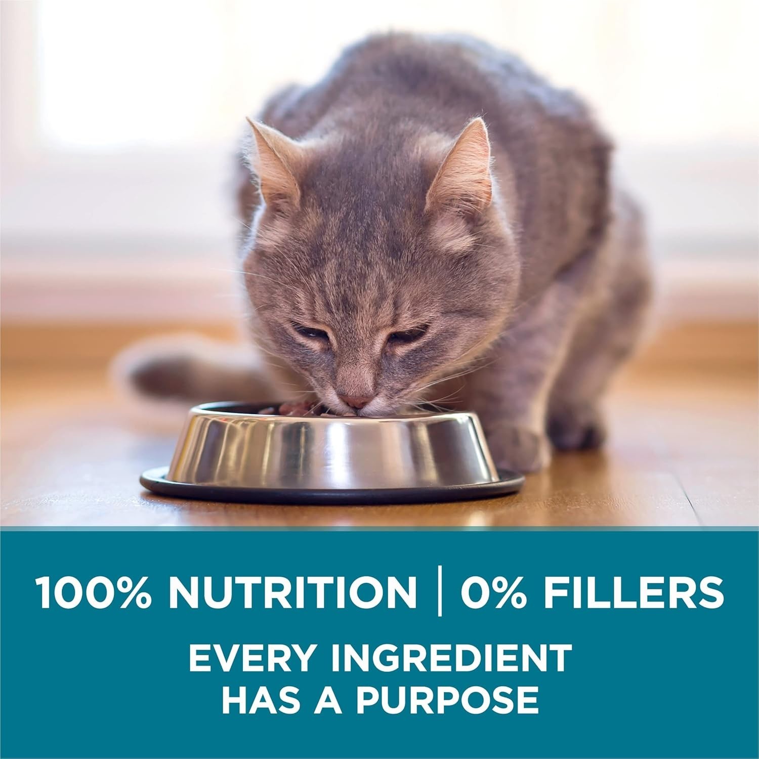 (2 pack)Purina ONE Tender Selects Blend with Real Salmon Dry Cat Food, 16-lb bag